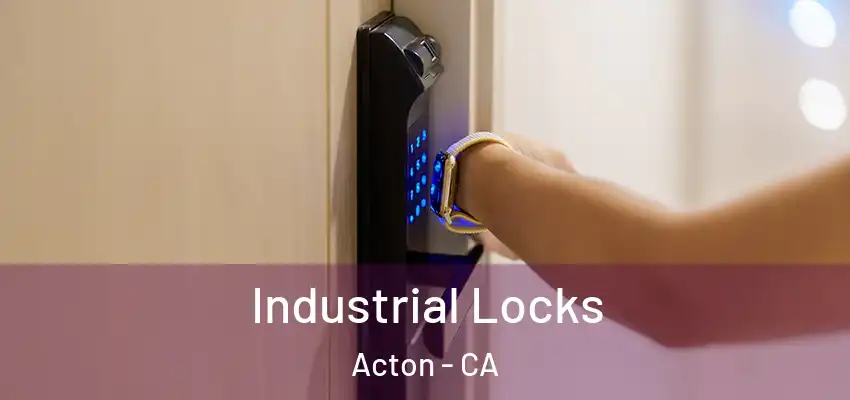  Industrial Locks Acton - CA